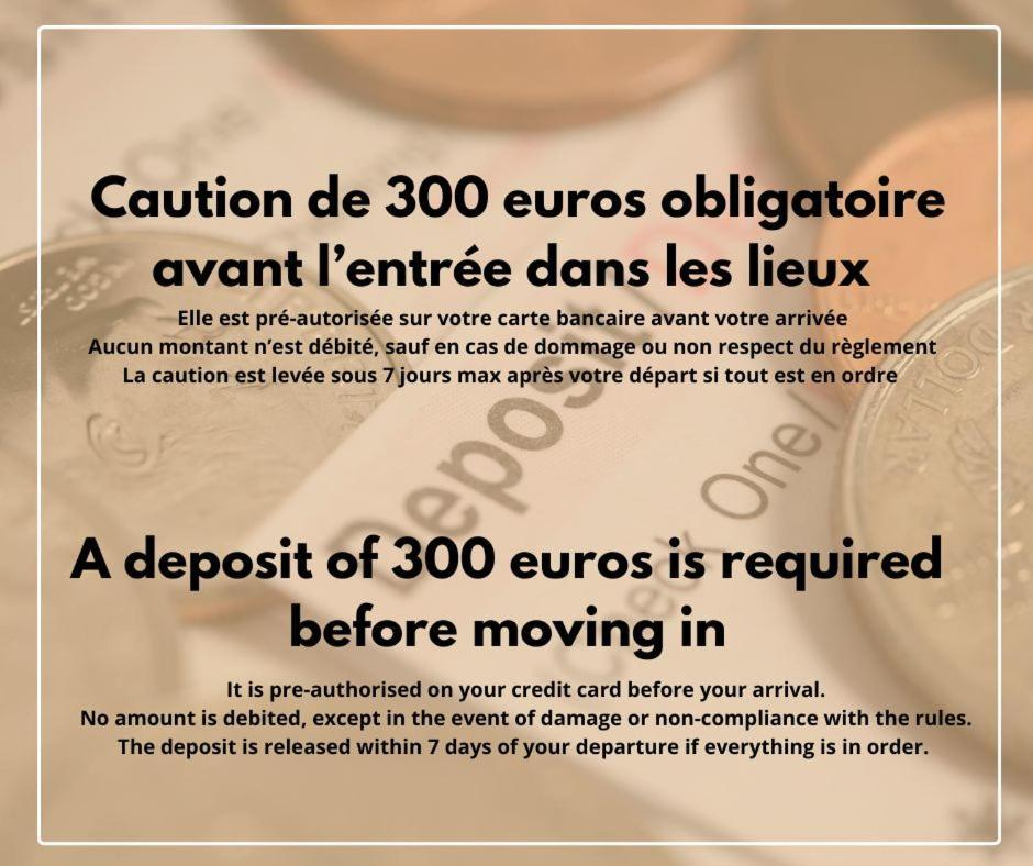 Duplex Le Chant Des Oiseaux Abbeville Zewnętrze zdjęcie